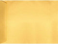 LUXPaper 9 x 12 Open End Envelopes | Peel & Press | Gold Metallic | 80lb. Text by LUXPaper