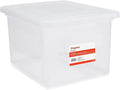 STAPLES File Box Plastic File Box Snap, Letter/Legal Size by Staples