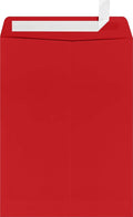 LUXPaper 9 x 12 Open End Envelopes | Peel & Press | Ruby Red | 80lb. Text | 250 by LUXPaper