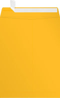 LUXPaper 9 x 12 Open End Envelopes | Peel & Press | Sunflower Yellow | 80lb. by LUXPaper
