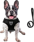 FEimaX Dog Harness and Leash Set by FEimaX