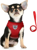 FEimaX Dog Harness and Leash Set by FEimaX