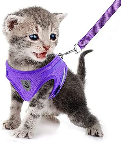 FEimaX Dog Harness and Leash Set by FEimaX