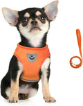 FEimaX Dog Harness and Leash Set by FEimaX