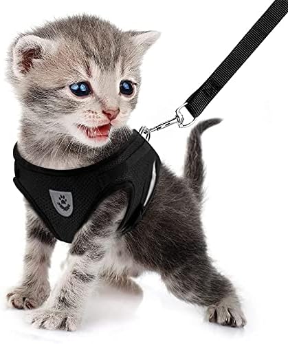 FEimaX Dog Harness and Leash Set - Image 2