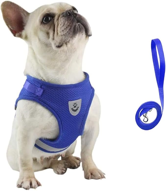 FEimaX Dog Harness and Leash Set - Image 3