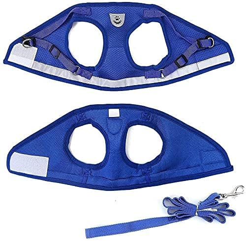 FEimaX Dog Harness and Leash Set - Image 6