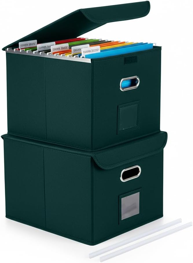 File Organizer Box with Lid, Large Hanging File Folder Organizer with Plastic by CADONO