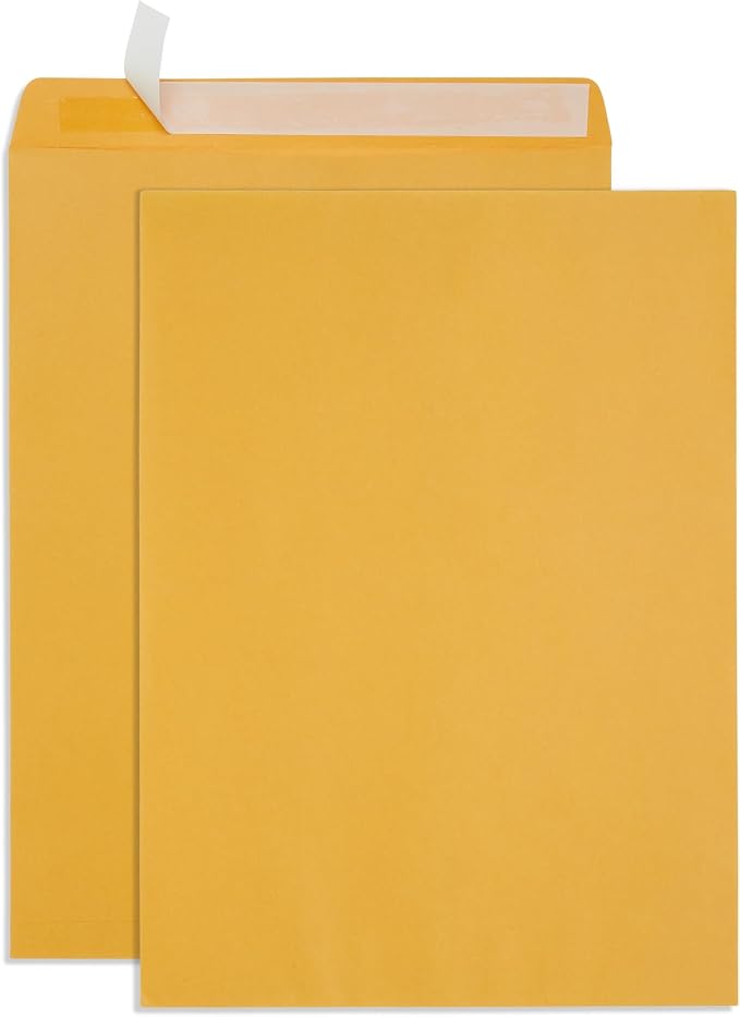 Blue Summit Large Mailing Envelopes 13x18, Large Envelopes 13x18 by BlueSummitSupplies