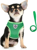 FEimaX Dog Harness and Leash Set by FEimaX
