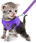 FEimaX Dog Harness and Leash Set by FEimaX