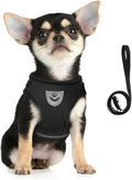 FEimaX Dog Harness and Leash Set by FEimaX