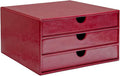 UnionBasic Document Organizer, 3-Drawer File Cabinet Document Storage Box by UnionBasic