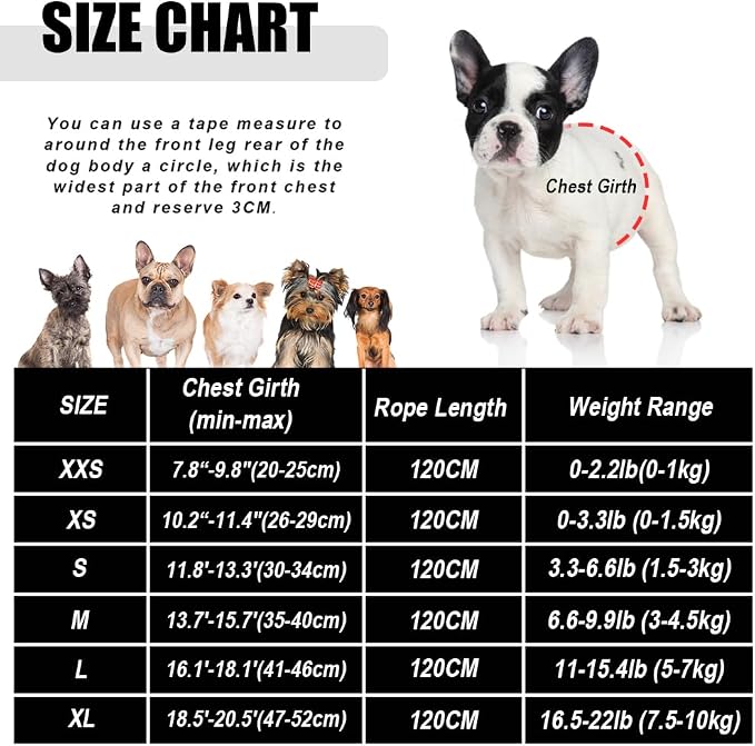 FEimaX Dog Harness and Leash Set - Image 5