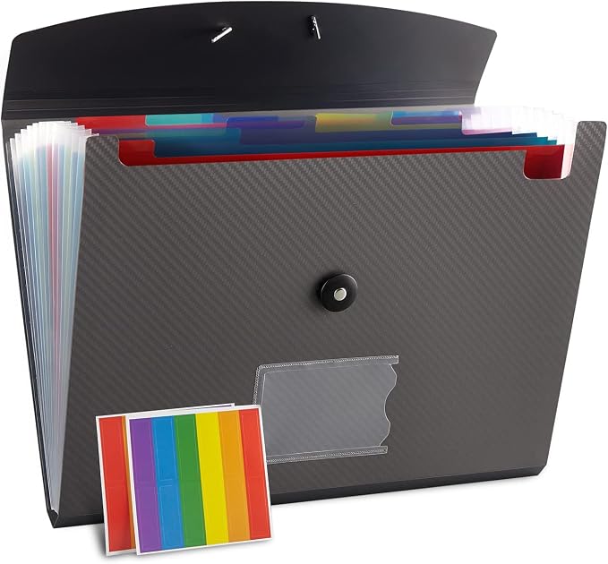 Nicfaec Expanding File Folder, 13 Pockets, Polypropylene by Nicfaec