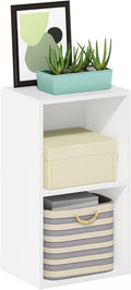 Furinno PASIR Book Shelf, 2-Tier Modern Bookshelf, Open Shelves Bookcase 9 x 12 by Furinno-FitsYourSpaceFitsYourBudget