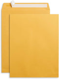 Blue Summit Supplies 100 10” x 13” Catalog Envelopes, Self Seal, by BlueSummitSupplies