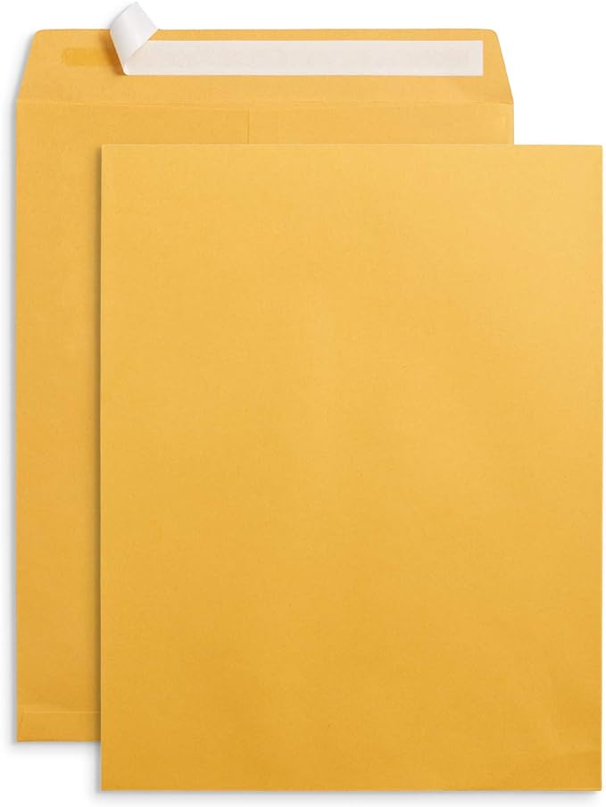 Blue Summit Supplies 100 10” x 13” Catalog Envelopes, Self Seal, by BlueSummitSupplies