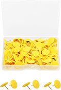 Tupalizy 120PCS Flat Plastic Round Head Map Thumb Tacks Push Pins by Tupalizy