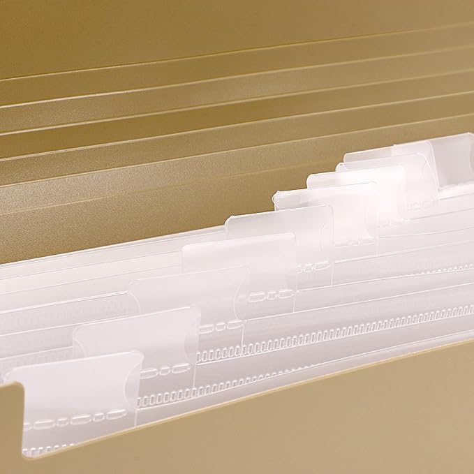 BTSKY Expanding File Folder - Image 6