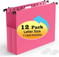 Shutex Extra Capacity Plastic Hanging File Folders, 12 Pack Reinforced by Shutex