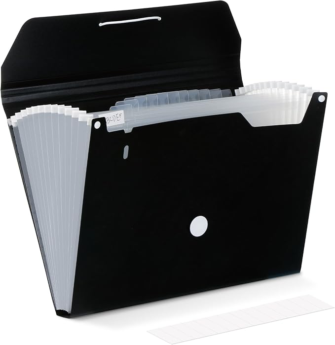 Comix Accordion File Organizer, 13 Pocket, A4/Letter Size Documents, Includes by Comix