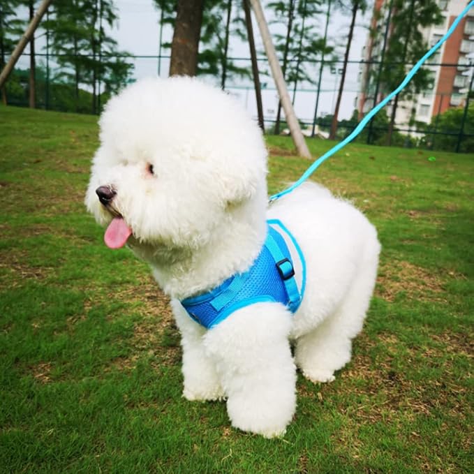 FEimaX Dog Harness and Leash Set - Image 7