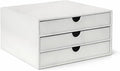 UnionBasic Document Organizer, 3-Drawer File Cabinet Document Storage Box by UnionBasic