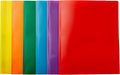 Amazon Basics Heavy Duty Plastic Folders by AmazonBasics