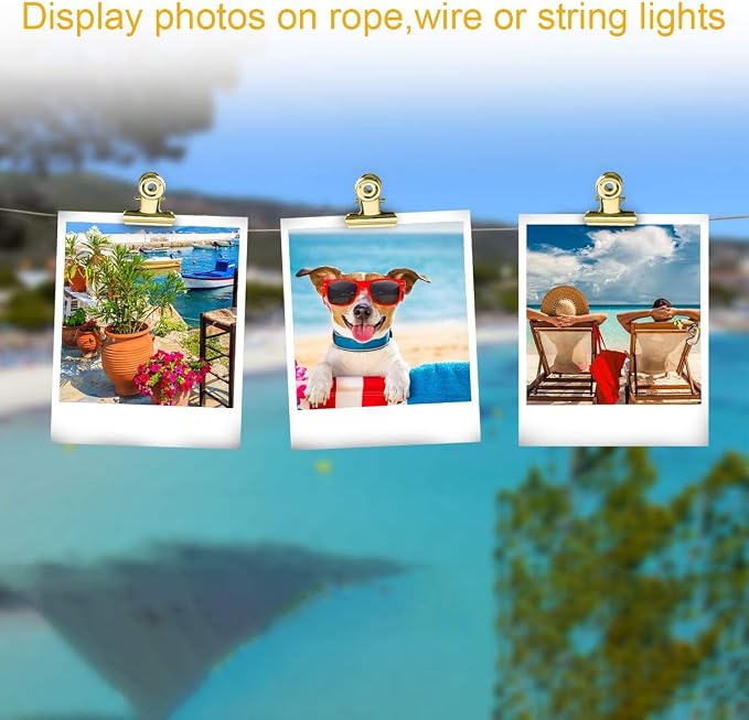 Coideal Small Gold Bull Hinge Clips, Pictures Photos, Wire Grid Wall Decor - Image 5