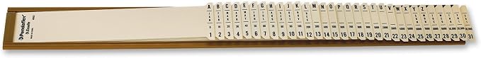 Pendaflex Plastic Sort-All Sorter, 2-1/2" x 23-1/4", 2.5"x23.3" by TOPSProducts
