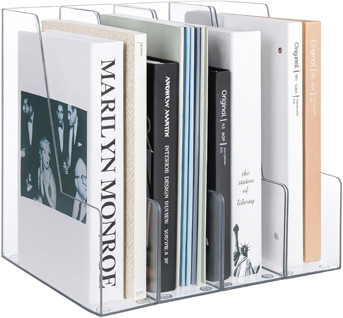 LALOBLUE Vertical Magazine File Holder, 4 Pack | Plastic, Holds Magazines by Laloblue