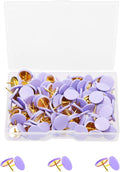 Tupalizy 120PCS Flat Plastic Round Head Map Thumb Tacks Push Pins by Tupalizy