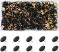 300 PCS Thumb, Tacks Plastic Round Head Thumbtack, Plastic Roundness Push Pins by Unknown