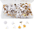 Piutouyar 300Pcs White Decorative Flat Push Pin, Plastic Roundness Head by Piutouyar