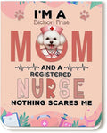 I'm a Bichon Frise Mom and a Registered Nurse Nothing Scares Me Magnet Bookmark by Ninety3POD