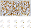 300 PCS Thumb, Tacks Plastic Round Head Thumbtack, Plastic Roundness Push Pins by Unknown