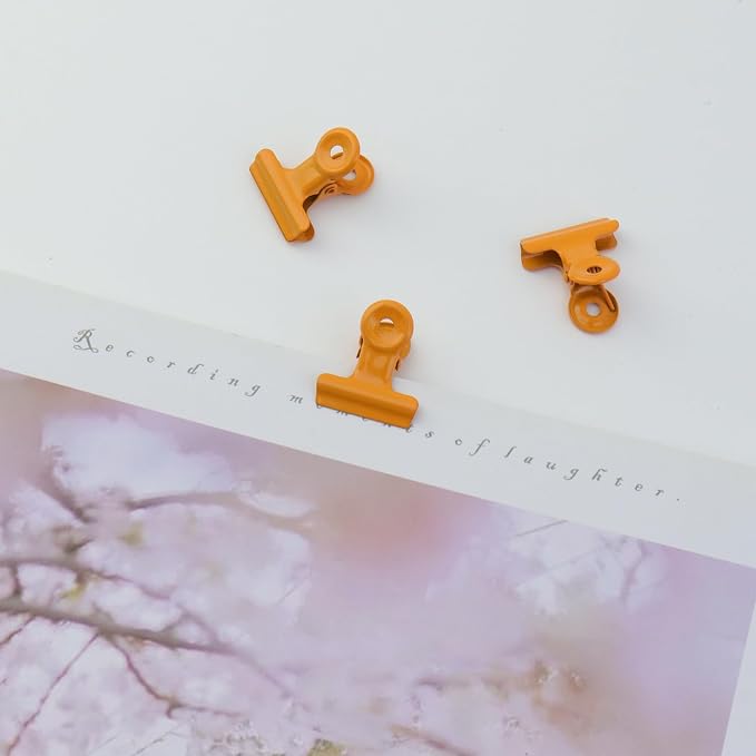 Xiaoyztan 20 Pcs Small Binder Clips, 20 mm Bulldog Paper Clips Binder Bull Clip - Image 5