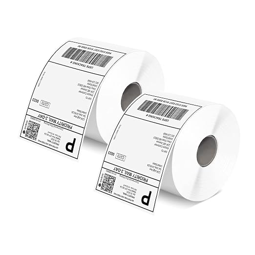 MUNBYN 4x6 Inch Direct Thermal Labels, 1000 Sheets/2 Rolls, Shipping Paper by MUNBYN