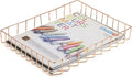 BTSKY Multipurpose A4 File Tray Wire Desk Tray Organizer Elegant Letter Size by BTSKY