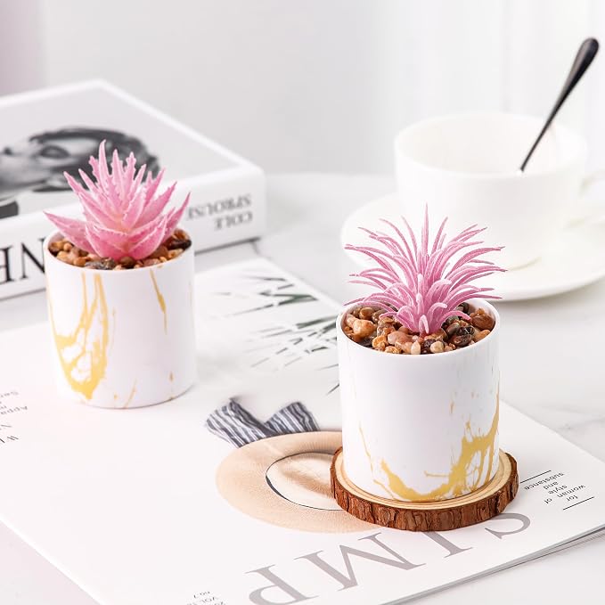 Der Rose Set of 4 Succulents Plants Artificial - Image 7