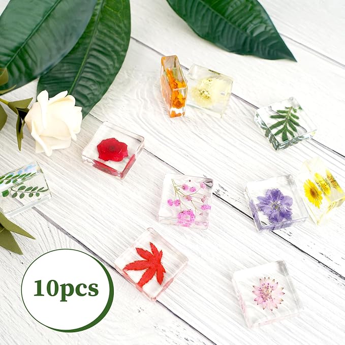 10PCS Dried Flower Paperweight Pressed Flower Paper Weight Real Resin Crafts - Image 3