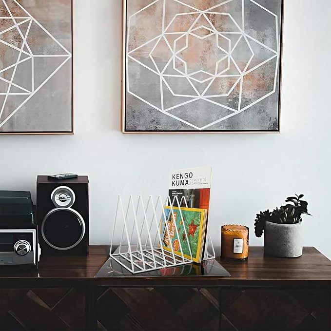 EASEPRES Vinyl Record Holder Storage, 9 Slot Metal Magazine Book Album Display - Image 7