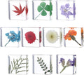 10Pcs Pressed Flower Paper Weights, Real Flower Resin Crafts, Pattern Weights by Unknown