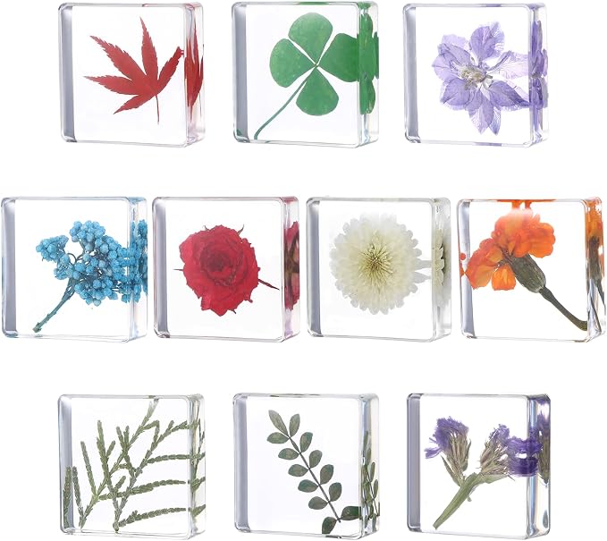 10Pcs Pressed Flower Paper Weights, Real Flower Resin Crafts, Pattern Weights by Unknown