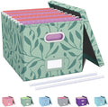 Oterri File Organizer with Lid, File Box, File Cabinet by Oterri