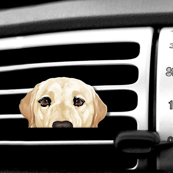WIRESTER Fresh Scented Car Air Freshener Vent Clip, Decorative Accessories by WIRESTER
