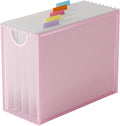 Hanging File Organizer, Letter-Size File Holder Filing Box by GoldOrcle