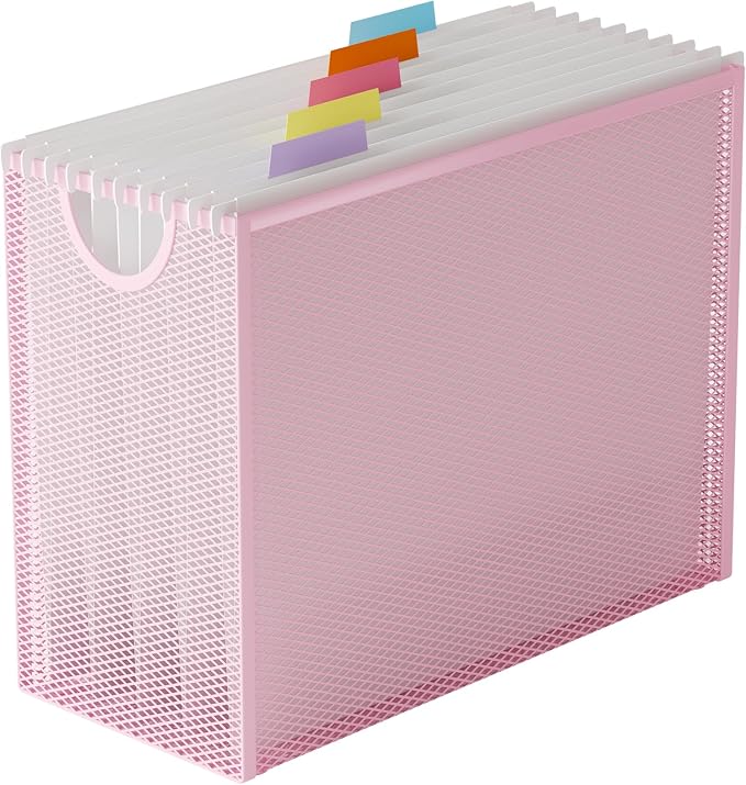 Hanging File Organizer, Letter-Size File Holder Filing Box by GoldOrcle