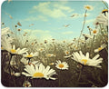 Serenity in Spring Daisies Mouse Pad by Eiszuso